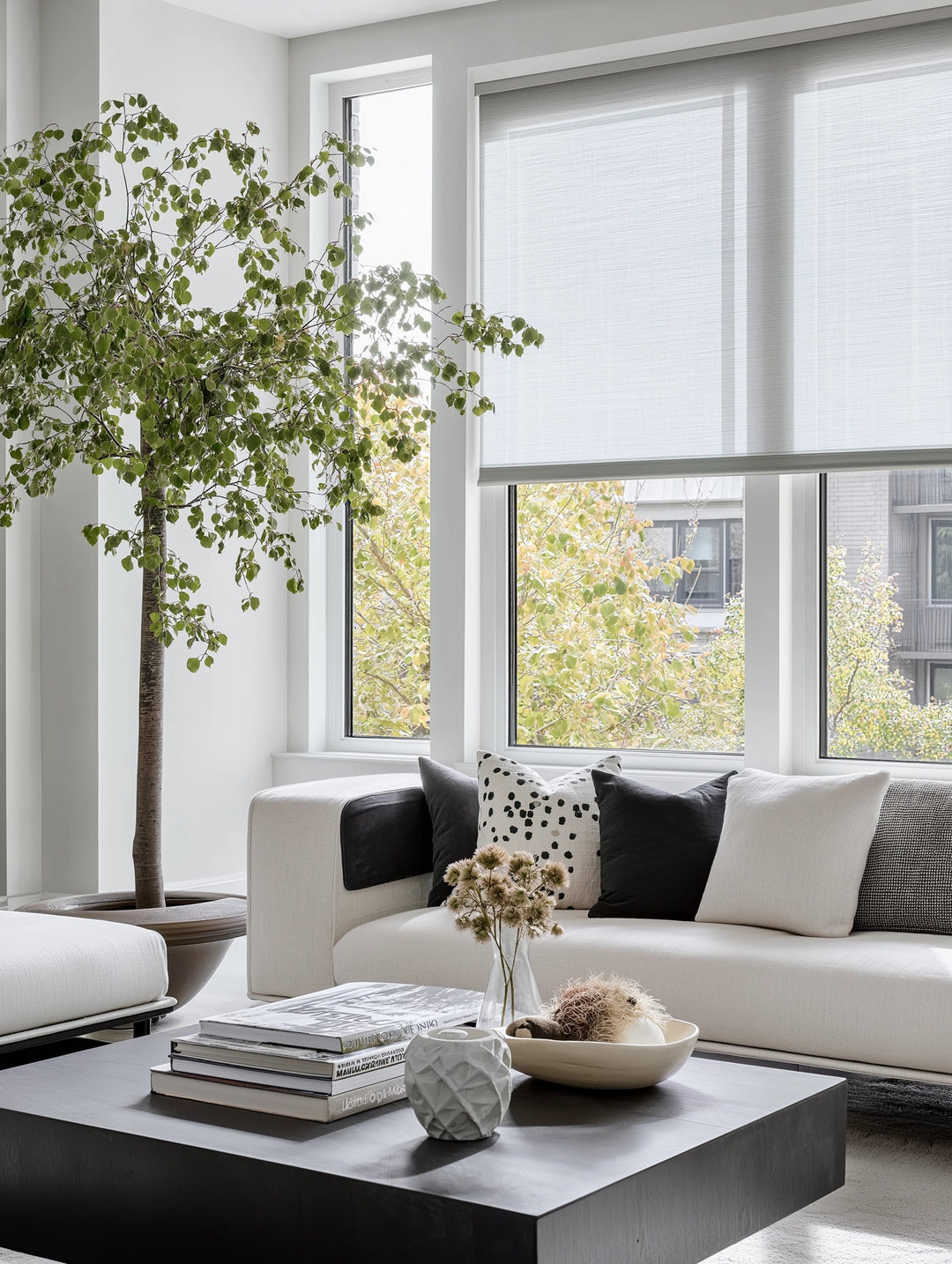 Roller Shade: Stratus Collection