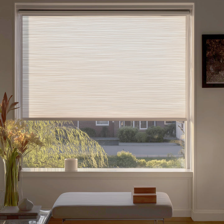 Roller Shade: Élan Collection