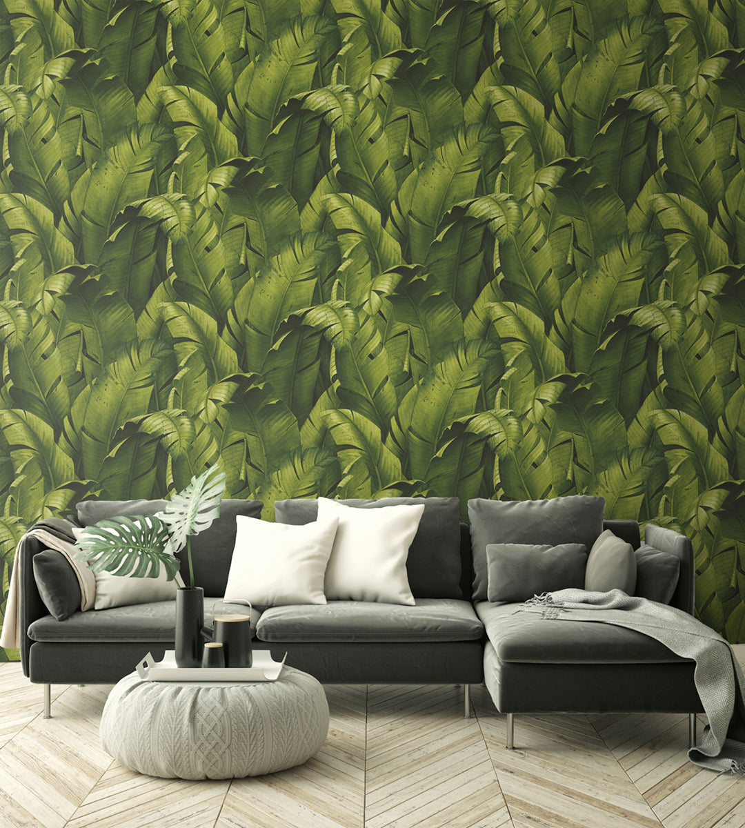 Peel & Stick Wallpapers: Tropical Banana Leaves