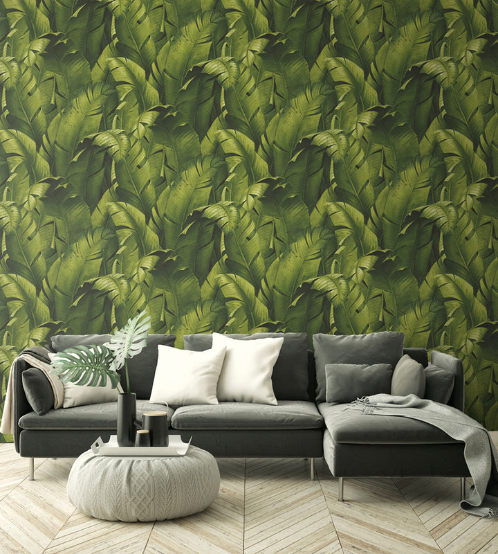 Peel & Stick Wallpapers: Tropical Banana Leaves