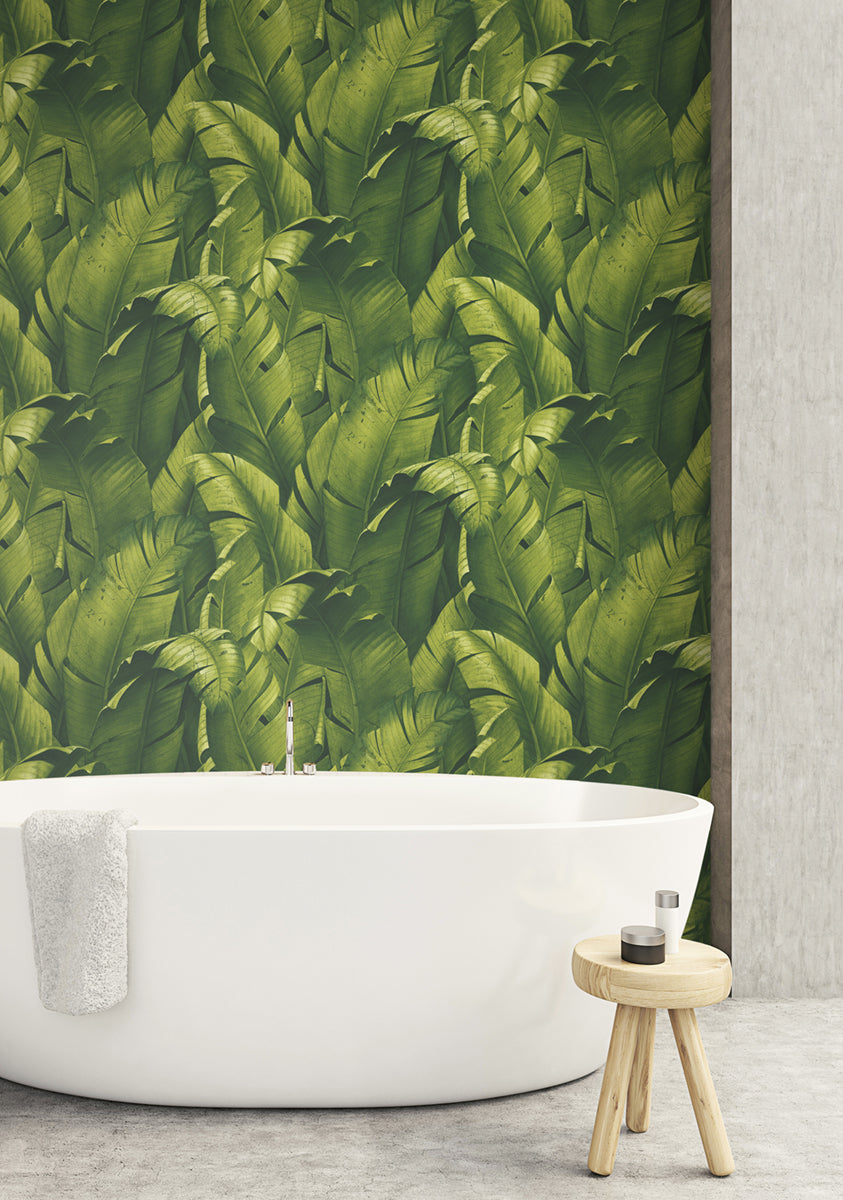 Peel & Stick Wallpapers: Tropical Banana Leaves