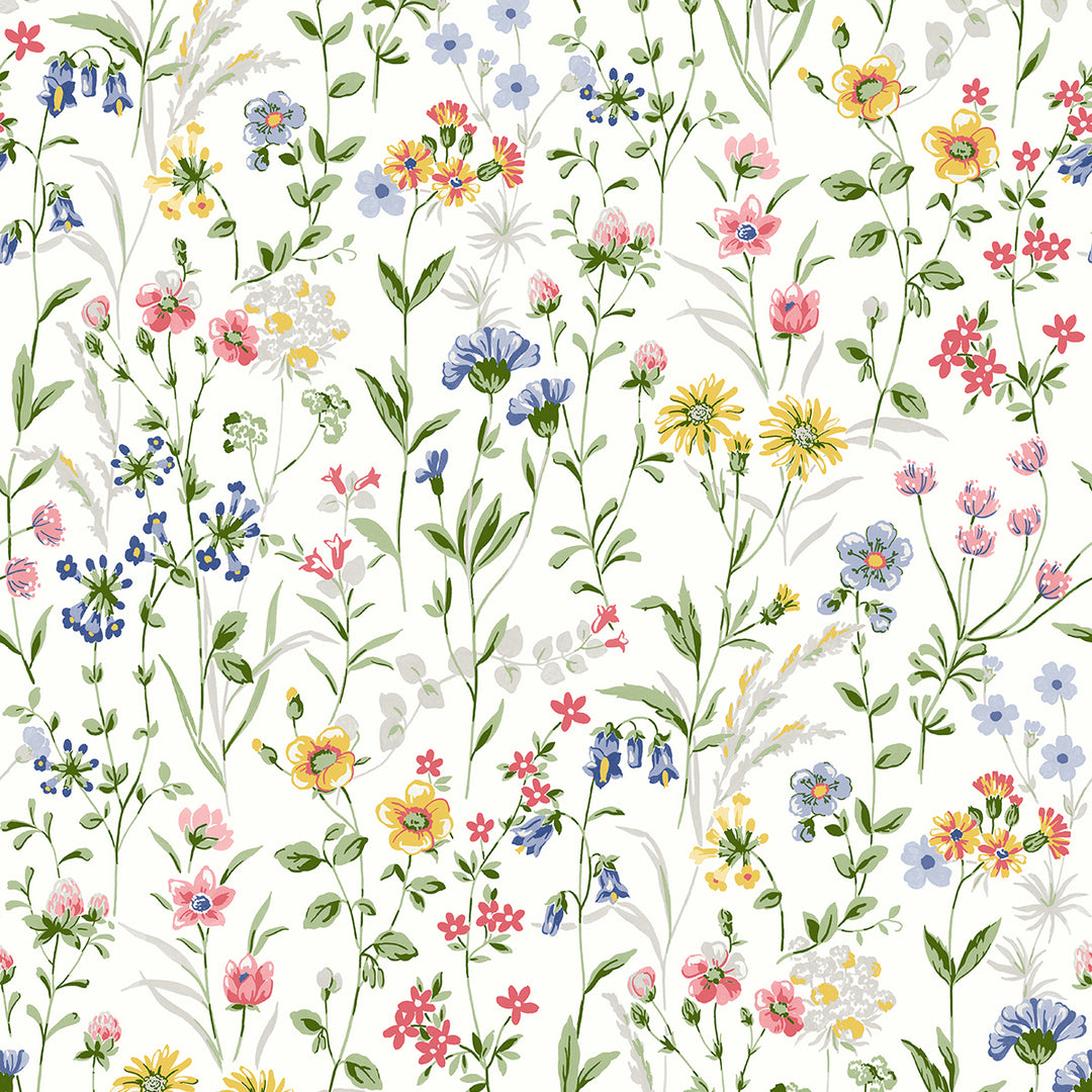 Peel & Stick Wallpapers: Wildflowers