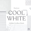 Cool White